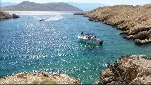 punat3